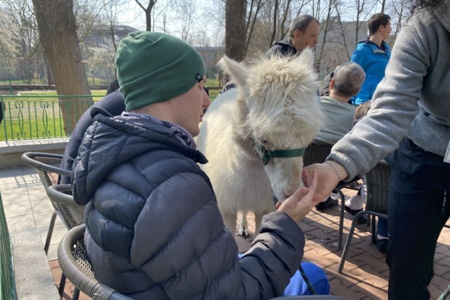 Spotkanie z alpakami 27.03.2025