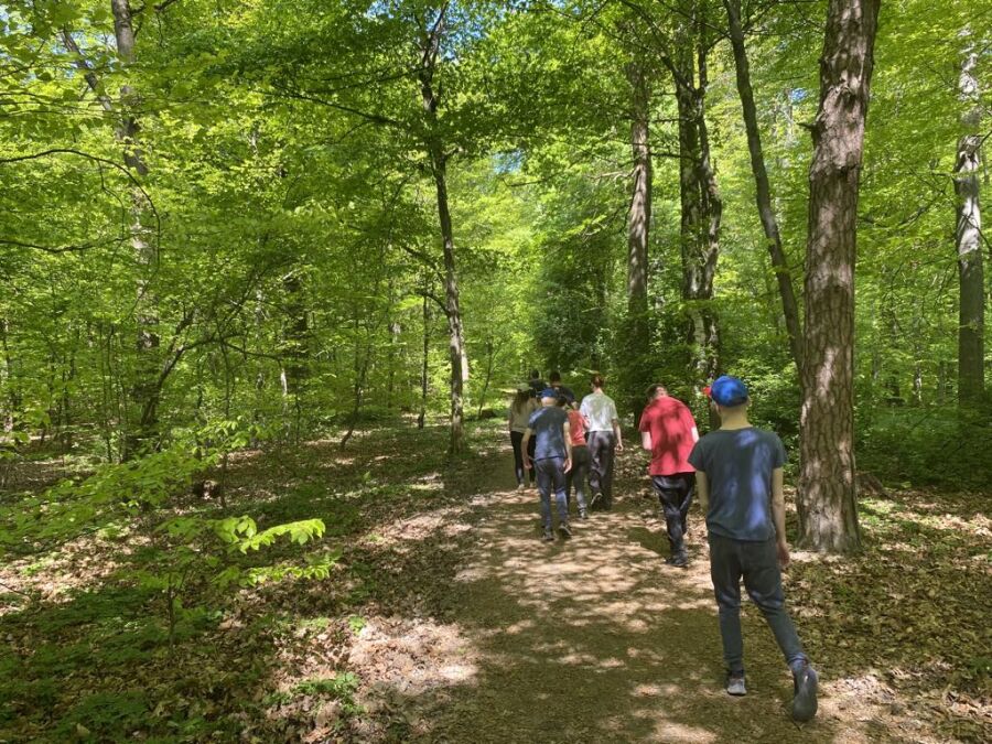 Las, który wspiera – terapeutyczna moc natury 25.04.2025