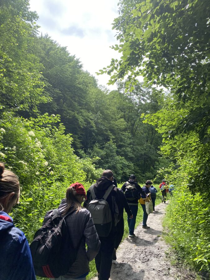 Spacerkiem po Dolinie Kobylańskiej 