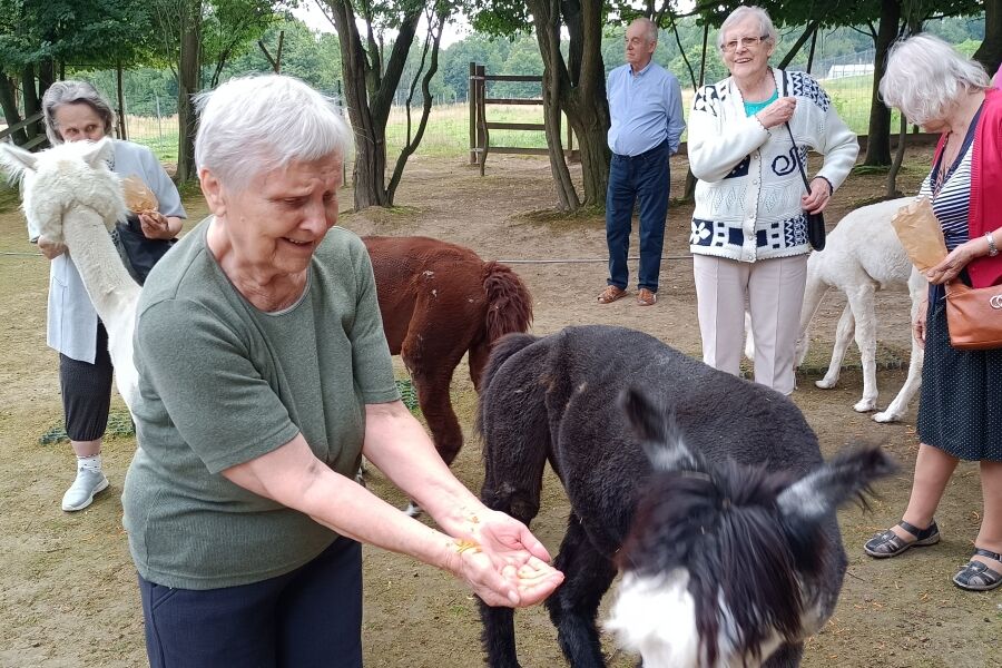 Wycieczka do Alpaca Home 07.07.2025