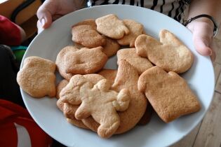 Na białym talerzu ułożone są domowe, jasnobrązowe ciasteczka w różnych kształtach (m.in. postać ludzika, domek, kaczuszka). Talerz trzymany jest w rękach.