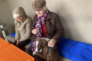 Panie bawią się z psem