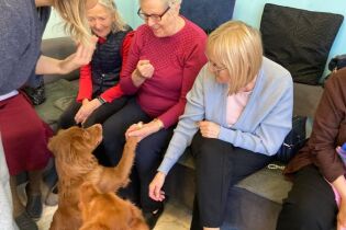 Pies podaje łapę Seniorce.