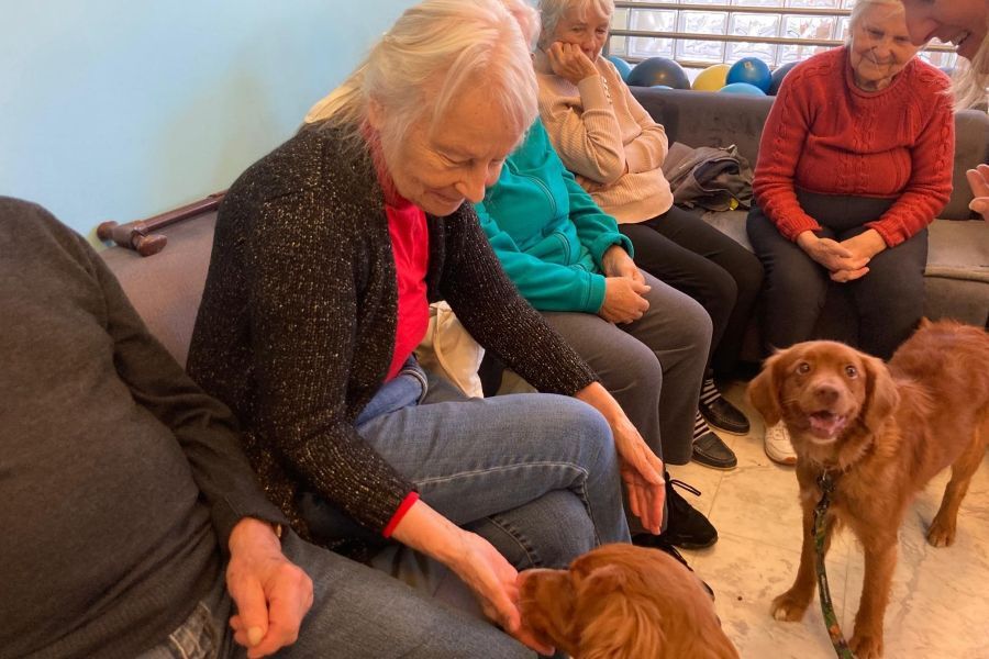 Zajęcia z dogoterapii 29.10.2025