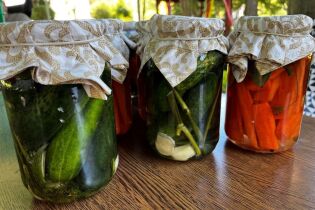 Na zdjęciu słoiki z przygotowanymi ogórkami oraz marchewkami do procesu kiszenia. 