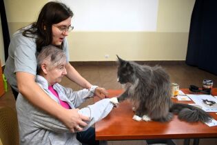 Starsza kobieta siedzi przy stole, a za nią stoi opiekunka, która wspiera ją w kontakcie z dużym, długowłosym kotem siedzącym na blacie. Kot dotyka łapy kobiety. Na stole stoją puszki z karmą.