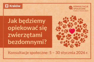Konsultacje społeczne: Jak będziemy opiekować się zwierzętami bezdomnymi? 