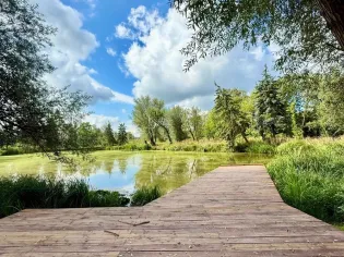 Spokojny staw otoczony zielenią i drzewami, z drewnianym pomostem.