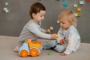 Dwoje dzieci bawi się kolorowymi klockami i zabawkowym samochodem.